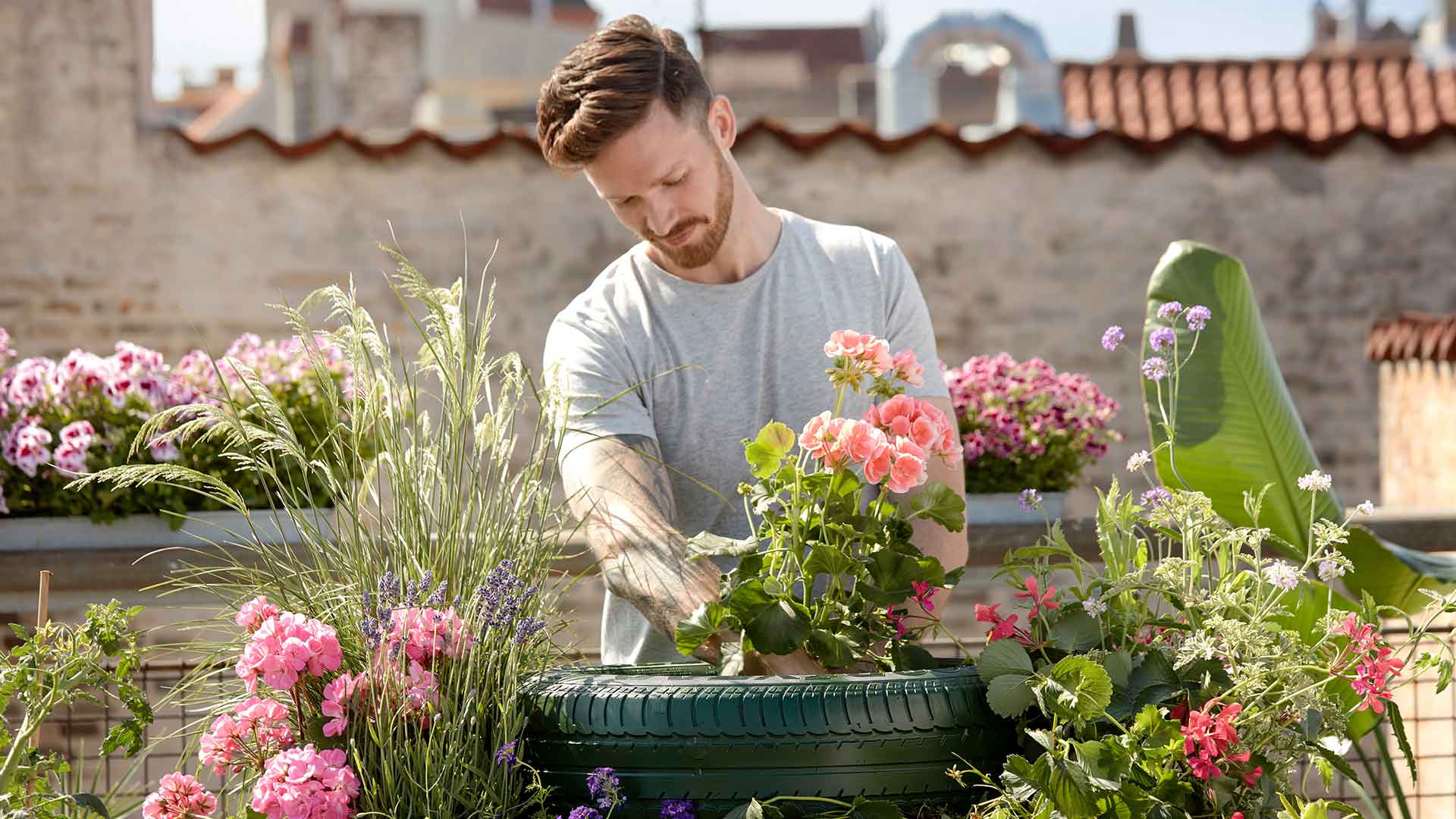 Gartenbau A&F