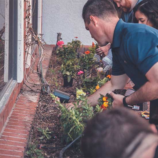 Gartenplanung